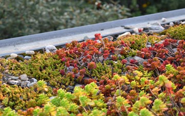 the cost of Horsham green roof installation