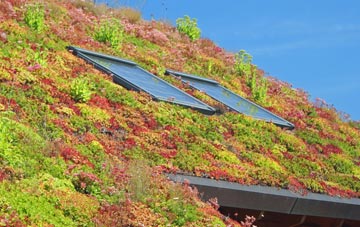 Horsham living roof systems