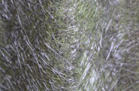 Horsham fibreglass roof work